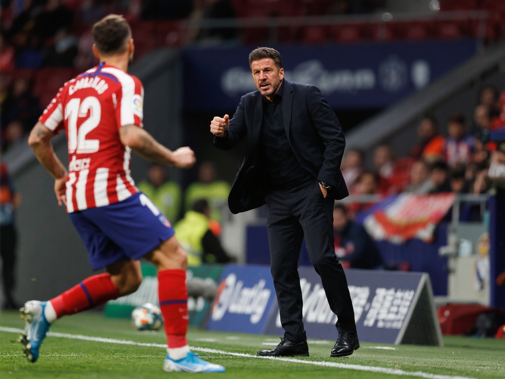 展示了体育 展示了体育