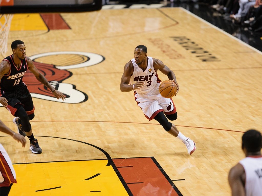 会员提供了 会员提供了